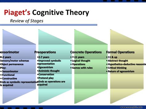 kognitive schemata piaget